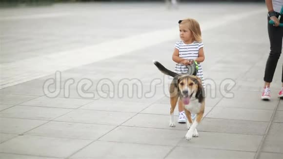 小可爱的女孩带着她的小猎犬走过城市广场把宠物拴在皮带上视频的预览图