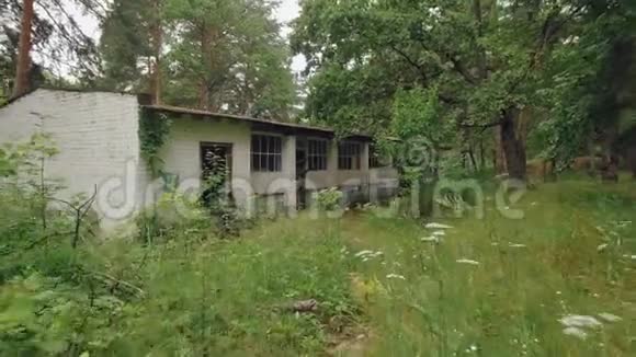 夏天照相机正接近森林中的废弃房屋门窗破损视频的预览图