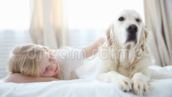 家庭宠物的生活一个金发小女孩和她的狗躺在卧室的床上一只金毛猎犬视频的预览图