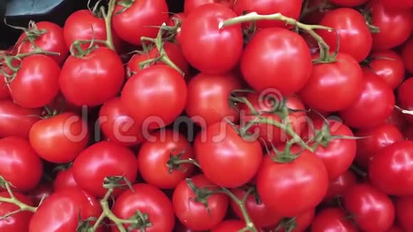 蔬菜市场上有许多完美的西红柿超市摊上的新鲜红番茄视频的预览图