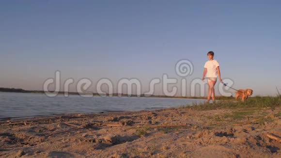女孩遛狗在海滩上的皮带在蓝色的湖上视频的预览图