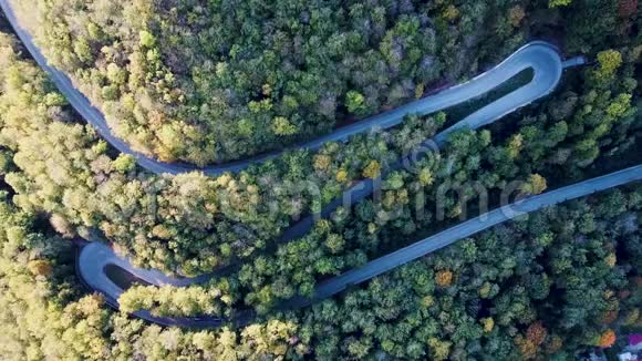 弯曲的道路有汽车和美丽的森林景观在上面用无人机拍摄的树木之间蜿蜒的街道视频的预览图