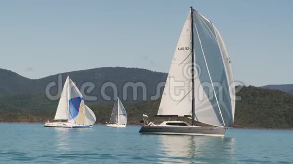 三艘不同大小的帆船视频的预览图