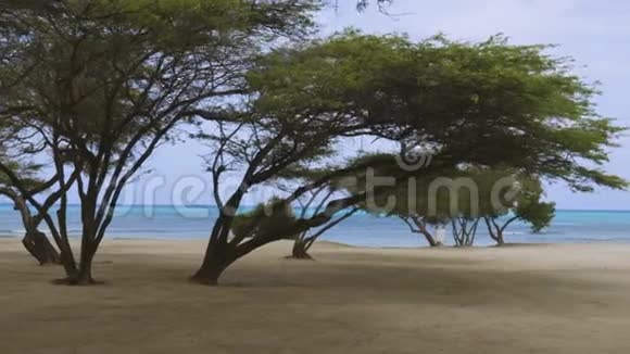 阿鲁巴的自然美青绿色海水和蓝天视频的预览图