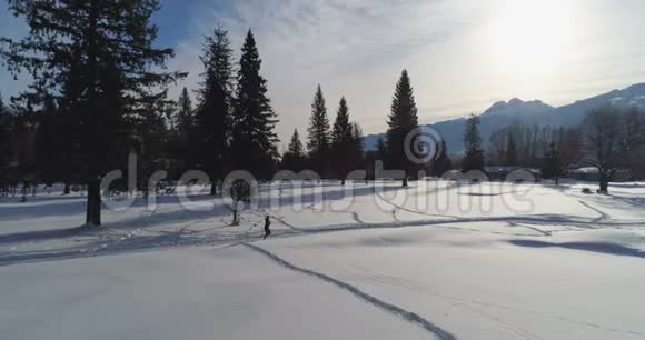 女人在雪景4K上慢跑视频的预览图