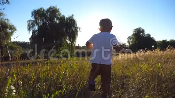 阳光明媚的一天金发的小孩在田野里散步夏天的时候小孩子要去吃青草快乐宝贝视频的预览图