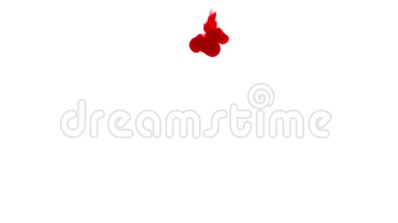 红墨水在白色背景上溶解在水中用Luma哑光计算机仿真的三维渲染V5一次流动视频的预览图