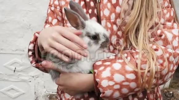 小女孩手里拿着一只兔子视频的预览图