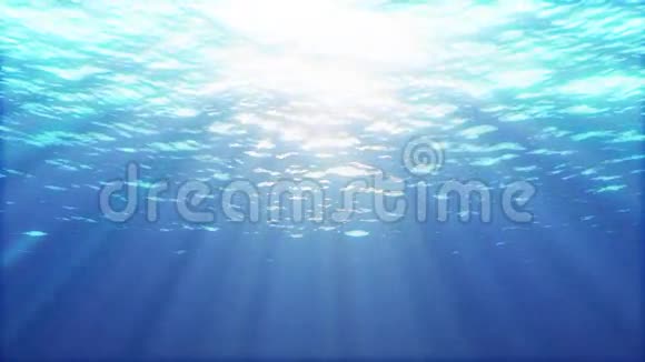 海底的海洋视频的预览图