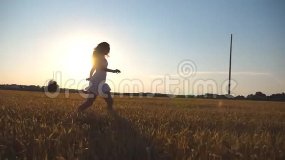 日落时小女孩正沿着蓝天下的麦田奔跑女人正在草地上慢跑太阳照耀着视频的预览图