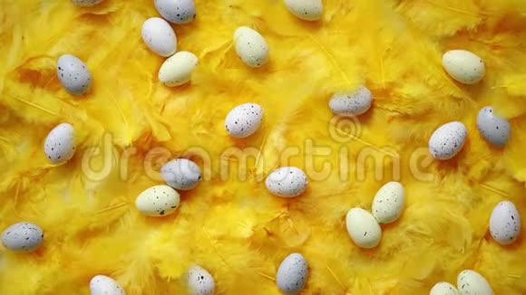 复活节彩蛋的组成分布在节日的黄色羽毛中视频的预览图