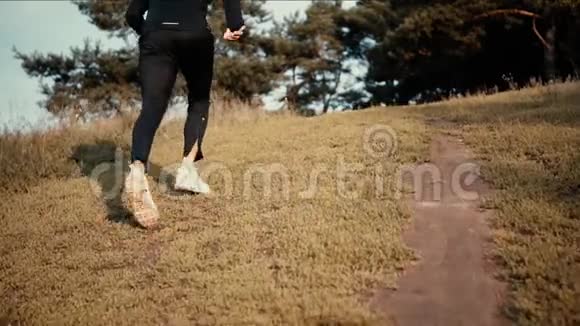 跑得慢的人上山去森林低角度后视年轻运动员探索秋季乡村景观视频的预览图