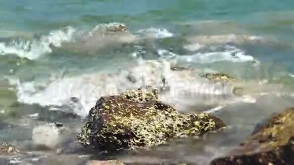 海浪溅在大海滩上覆盖着贝壳的大石头上岩石海滩上有泡沫破裂的海浪视频的预览图