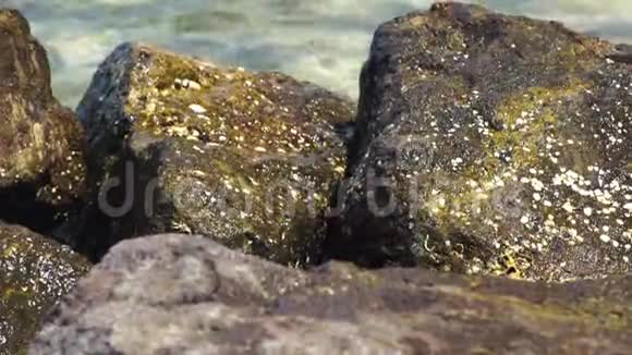 背景上的大石头溅起海浪海浪在海滩上的湿岩石上破碎以及视频的预览图