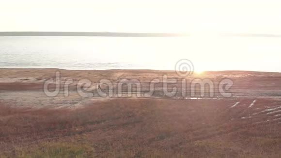 在美丽的日出或日落期间运动的年轻女子在湖边或利马附近户外跑步视频的预览图