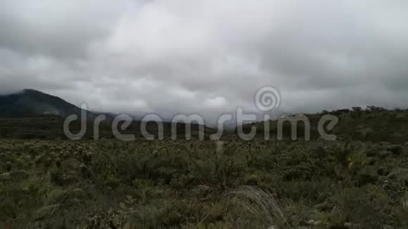 哥伦比亚普莱斯国家公园安第斯山脉的帕拉莫视频的预览图