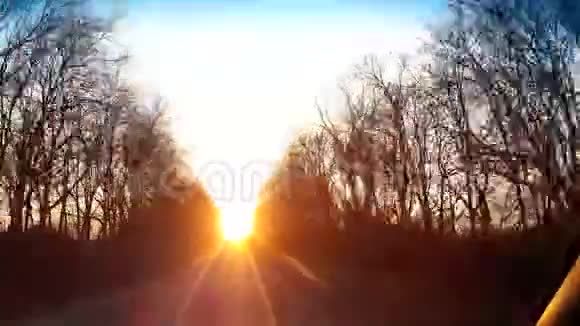 没有叶子的树立在路上夕阳的亮光在路的尽头视频的预览图
