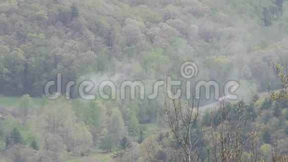 乔治亚伍迪盖普把树上的烟雾放大到山谷的开阔视野视频的预览图