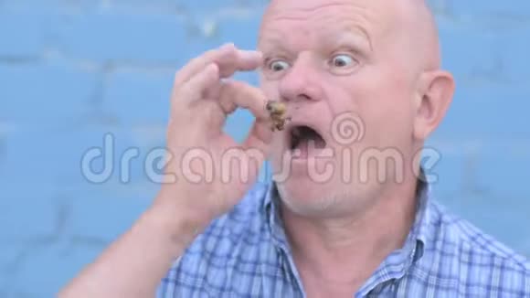 疯狂的俄罗斯老人剃光头手里拿着一只昆虫吃着害虫视频的预览图