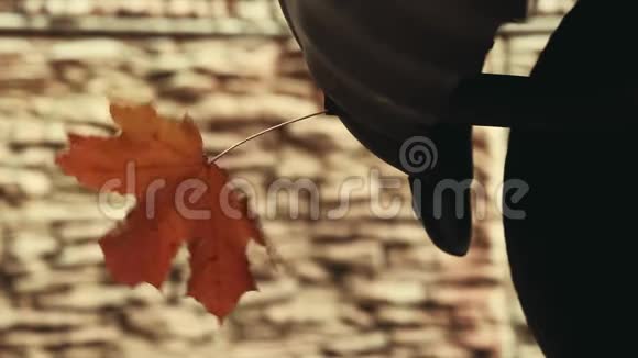 汽车秋季季叶高清镜头视频的预览图
