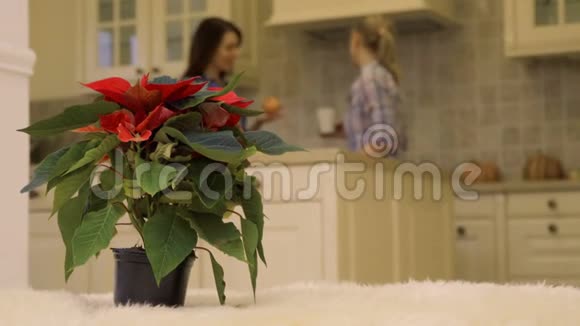 在圣诞花的背景下两个女人在厨房里交谈视频的预览图