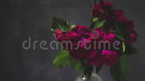 花瓶里腐烂褪色的花园玫瑰视频的预览图