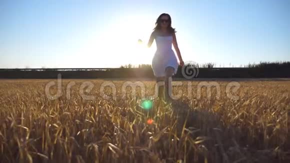 年轻漂亮的女孩沿着麦田奔跑背景是太阳耀斑高加索女人在镜头前慢跑视频的预览图
