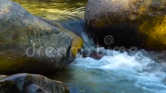 河流水流在岩石河的近山湍急的水流在清澈的河流中流淌着石头美丽美丽视频的预览图