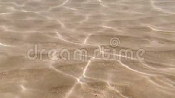 在沙底水下环状背景上的海水阳光折射视频的预览图