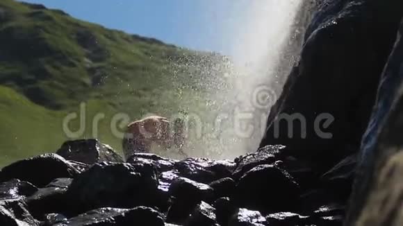 女游客用新鲜的瀑布水洗脸视频的预览图
