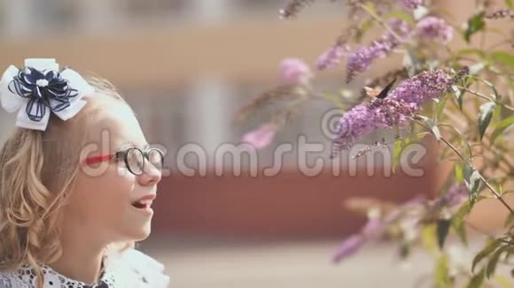 一个小女孩在花丛里捉蝴蝶视频的预览图