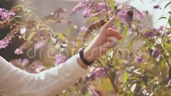 女孩用花在灌木丛上捉蝴蝶视频的预览图