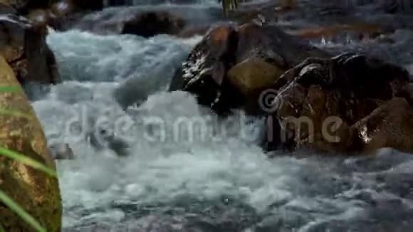 溪水在湍急的河水中在山近溪水在多石的河流中迅速地向下坡流野生水视频的预览图