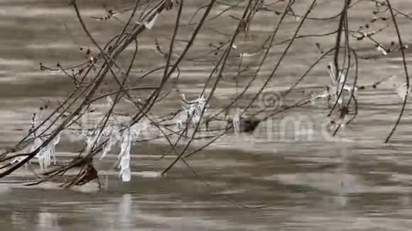 冬天的雪岸河冷水流在雪河边的步道桥下视频的预览图