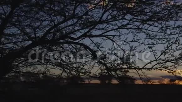 日落时用面包车拍摄的被剪影的树木视频的预览图