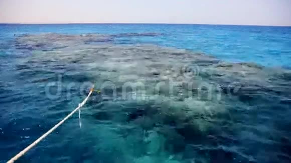 珊瑚礁景观视频的预览图