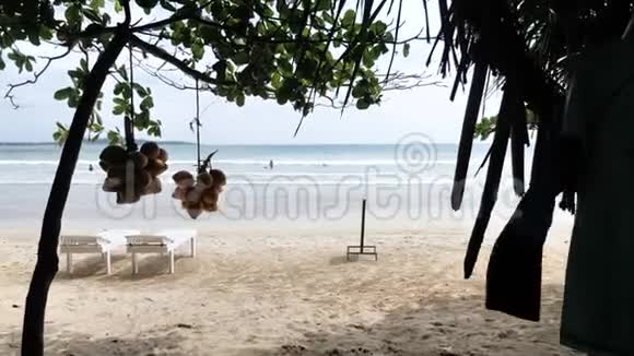 椰子海景斯里兰卡视频的预览图