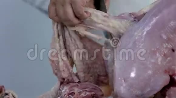不可食用的火鸡皮视频的预览图