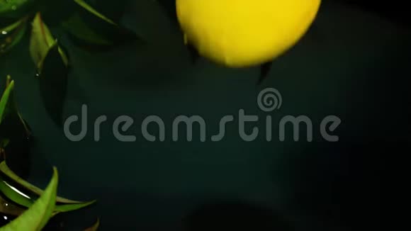 新鲜柠檬滴水面慢动作视频视频的预览图