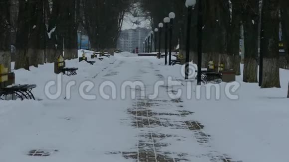 冬天公园里空荡荡的小巷公园下雪了视频的预览图