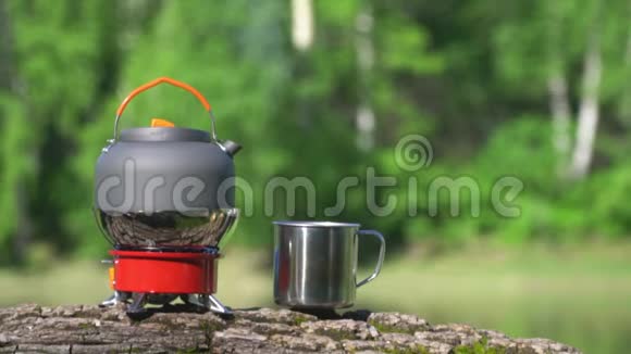 茶壶在煤气炉上沸腾这块盘子花在那棵倒下的树上美丽的新西兰风景视频的预览图