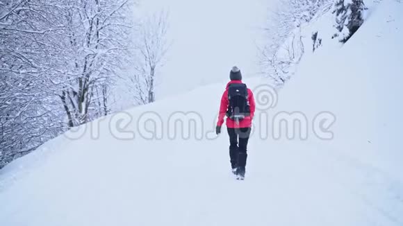 年轻的白种人妇女在白雪覆盖的树林里徒步旅行回头看视频的预览图