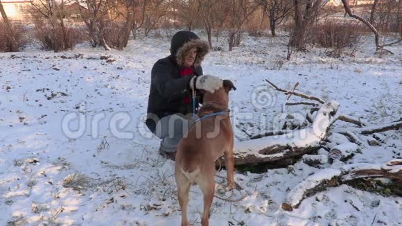 带着狗的男人在雪地里视频的预览图