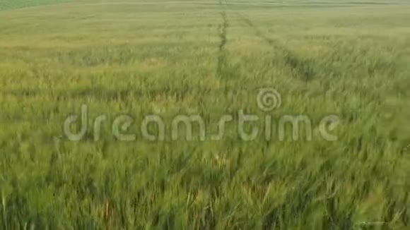 仲夏时间大麦场从无人驾驶飞机视频的预览图