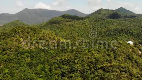 岛上的热带森林神奇的热带岛屿山脊上绿色丛林的雄蜂奇观异国情调的视频的预览图