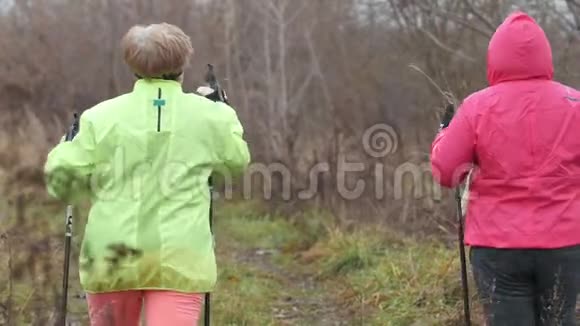 北欧步行秋季公园老年妇女运动现代健康训练后景视频的预览图