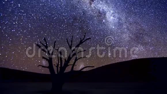 银河穿过天空在骆驼楂树后面视频的预览图