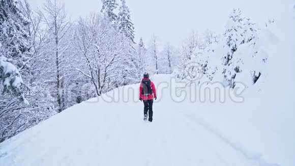 年轻的白种人妇女在白雪覆盖的树林里徒步旅行回头看视频的预览图