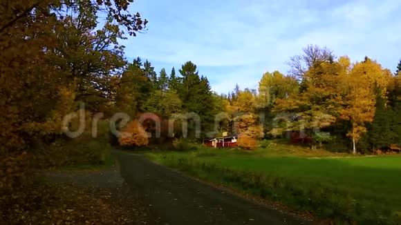 美丽的乡村景观在秋天的一天绿橙树还绿草地视频的预览图