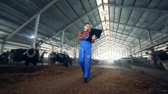 奶牛场和一个男工人在那里散步视频的预览图